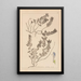 Herbier de la flore française Pl0879 - Louis Antoine Cusin — oprawiony obraz na ścianie