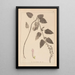 Herbier de la flore française Pl0880 - Louis Antoine Cusin — oprawiony obraz na ścianie