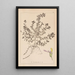 Herbarium francuskiej flory Pl0903 - Louis Antoine Cusin — oprawiony obraz na ścianie