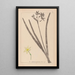 Herbier de la flore française Pl0971 - Louis Antoine Cusin — oprawiony obraz na ścianie