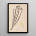 Herbier de la flore française Pl0973 - Louis Antoine Cusin — oprawiony obraz na ścianie