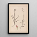Herbier de la flore française Pl1012 - Louis Antoine Cusin — oprawiony obraz na ścianie