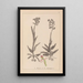 Herbier de la flore française Pl1023 - Louis Antoine Cusin — oprawiony obraz na ścianie