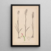 Herbier de la flore française Pl1024 - Louis Antoine Cusin — oprawiony obraz na ścianie