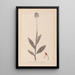 Herbier de la flore française Pl1030 - Louis Antoine Cusin — oprawiony obraz na ścianie