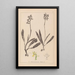 Herbier de la flore française Pl1033 - Louis Antoine Cusin — oprawiony obraz na ścianie