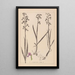 Herbier de la flore française Pl1034 - Louis Antoine Cusin — oprawiony obraz na ścianie