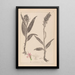 Herbier de la flore française Pl1044 - Louis Antoine Cusin — oprawiony obraz na ścianie