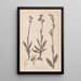 Herbier de la flore française Pl1050 - Louis Antoine Cusin — oprawiony obraz na ścianie