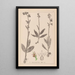 Herbier de la flore française Pl1054 - Louis Antoine Cusin — oprawiony obraz na ścianie