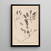 Herbier de la flore française Pl1071 - Louis Antoine Cusin — oprawiony obraz na ścianie