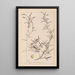 Herbier de la flore française Pl1073 - Louis Antoine Cusin — oprawiony obraz na ścianie