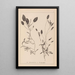 Herbier de la flore française Pl1074 - Louis Antoine Cusin — oprawiony obraz na ścianie