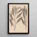 Herbarium francuskiej flory Pl1077 - Louis Antoine Cusin — oprawiony obraz na ścianie