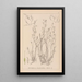 Herbier de la flore française Pl1092 - Louis Antoine Cusin — oprawiony obraz na ścianie