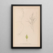 Herbarium francuskiej flory Pl1097 - Louis Antoine Cusin — oprawiony obraz na ścianie