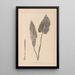 Herbier de la flore française Pl1108 - Louis Antoine Cusin — oprawiony obraz na ścianie