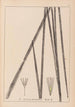 Herbarium francuskiej flory Pl1113 - Louis Antoine Cusin — widok dzieła