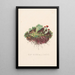 Lichens à gobelet - Louis Prang Co — oprawiony obraz na ścianie