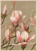 Magnolia - Louis Prang Co — widok dzieła