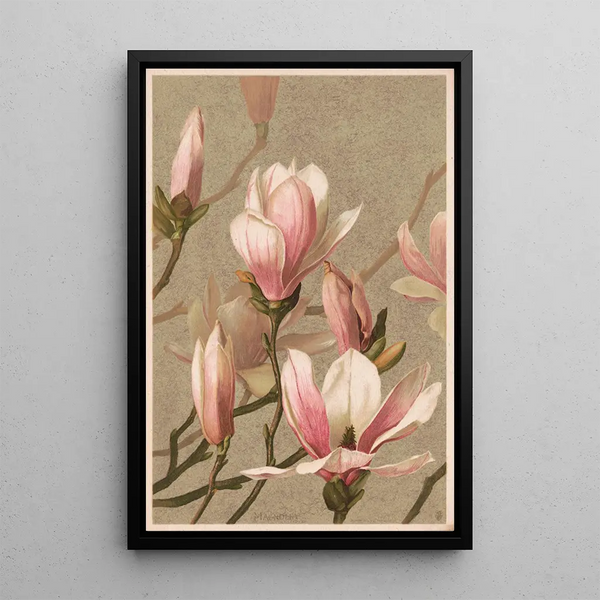 Louis Prang Co - Magnolia.webp