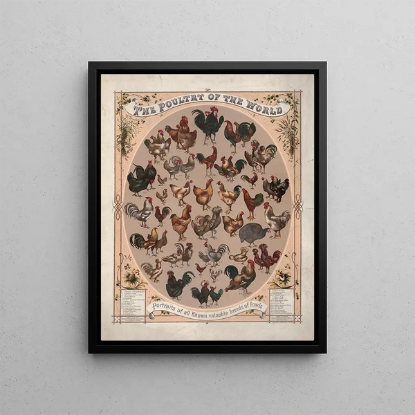 Louis Prang Co - The poultry of the worldPortraits of all known valuable breeds of fowls.webp