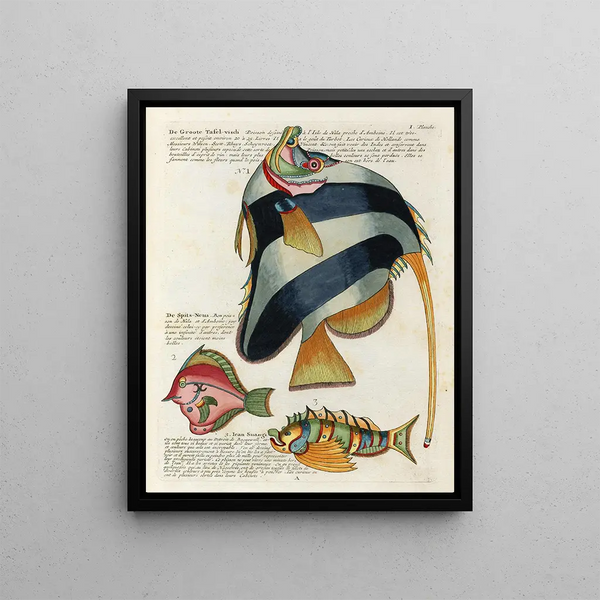 Louis Renard - Poissons ecrevisses et crabes de diverses couleurs et figures extraordinaires Pl044.webp