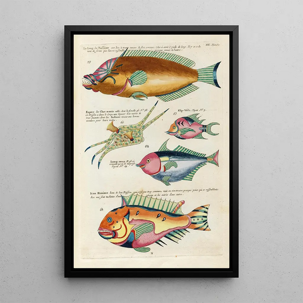 Louis Renard - Poissons ecrevisses et crabes de diverses couleurs et figures extraordinaires Pl056.webp