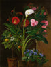 Streptocarpus pomarańczowy, oleander, calla lily i kaktusy - Louise Garlieb — widok dzieła