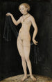 Wenus - Lucas Cranach starszy — widok dzieła