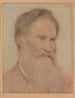 Portret mężczyzny - Lucien Wollès — widok dzieła
