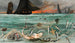 Łowienie śledzi w Szkocji przez łodzie z Berck - Ludovic Lepic — widok dzieła