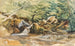 Studium potoku i krzewów - Ludwig Correggio — widok dzieła