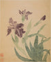 Iris - Ma Yuanyu — widok dzieła