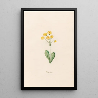 Magdelena Rosina Funck - Baernobren.webp