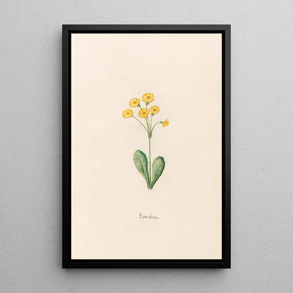 Magdelena Rosina Funck - Baernobren.webp