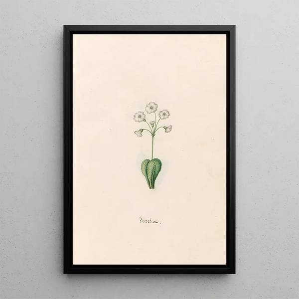 Magdelena Rosina Funck - Baerobren.webp