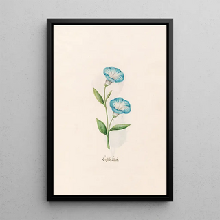 Magdelena Rosina Funck - Englishe klock.webp