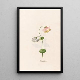 Magdelena Rosina Funck - Je lngrie lieber.webp