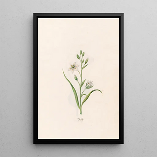 Magdelena Rosina Funck - Mol.webp