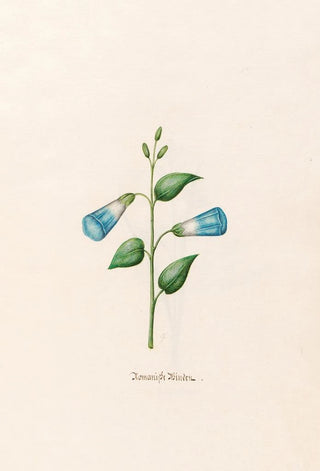 Magdelena Rosina Funck - Romanishe Binden.webp