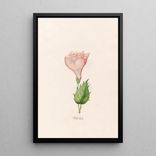 Magdelena Rosina Funck - Trck Klock.webp