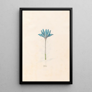 Magdelena Rosina Funck - Zeitloss.webp