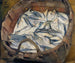 Śledzie z Bałtyku - Magnus Enckell — widok dzieła