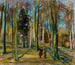 Widok z Kaivopuisto - Magnus Enckell — widok dzieła