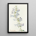 Penstemon cyananthus - Margaret Armstrong — oprawiony obraz na ścianie