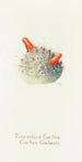 Cactus coussin - Margaret Armstrong — widok dzieła