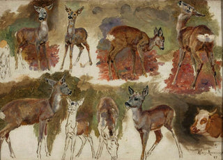 Maria KlassKazanowska - Studies of does.webp