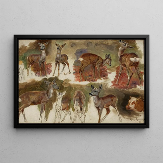 Maria KlassKazanowska - Studies of does.webp