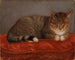 Chat allongé Mosse - Maria Wiik — widok dzieła